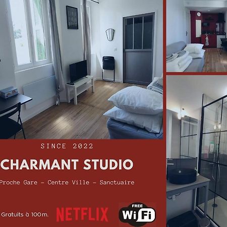 Charmant Studio Proche Centre Ville Et Gare Lourdes Eksteriør billede